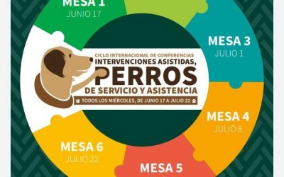 La Oficina IAA/URJC, participa en el CICLO INTERNACIONAL DE CONFERENCIAS: INTERVENCIONES ASISTIDAS CON ANIMALES, PERRO DE SERVICIO Y ASISTENCIA.