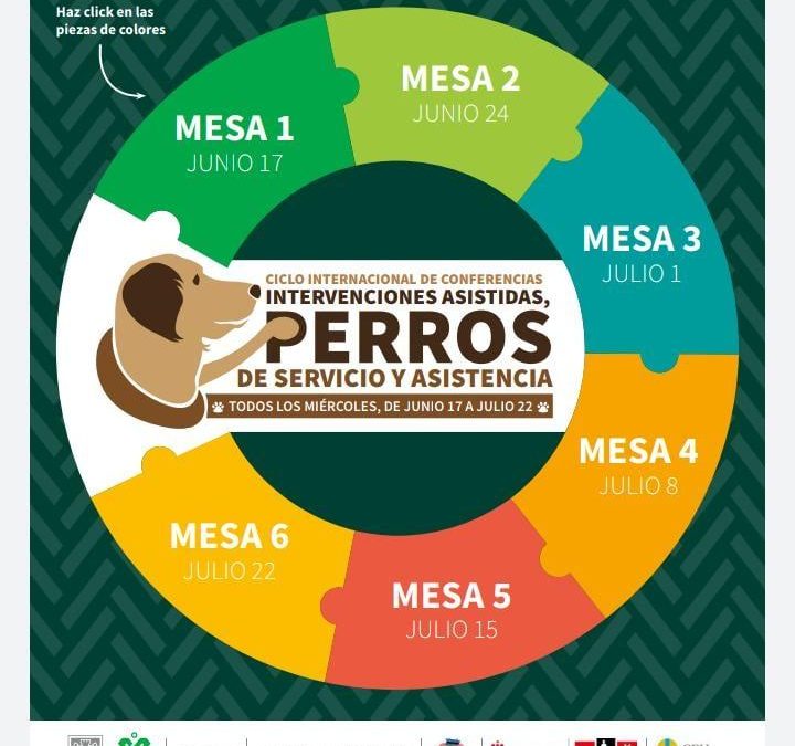 La Oficina IAA/URJC, participa en el CICLO INTERNACIONAL DE CONFERENCIAS: INTERVENCIONES ASISTIDAS CON ANIMALES, PERRO DE SERVICIO Y ASISTENCIA.