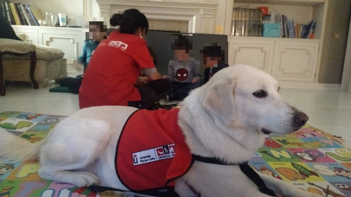 Jóvenes en acción Intervenciones Asistidas con Animales