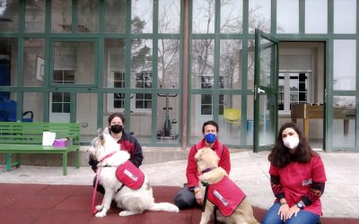 La Oficina de Intervención Asistida con Animales de la URJC participa en el estudio Mental-Dog para conocer los beneficios de trabajar con perros en la Unidad de Agudo de Psiquiatría