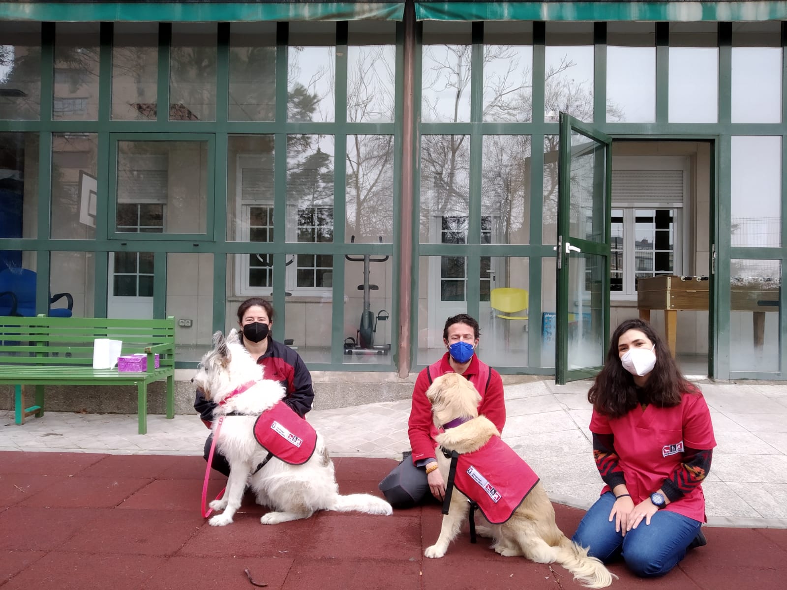 Mental Dog URJC