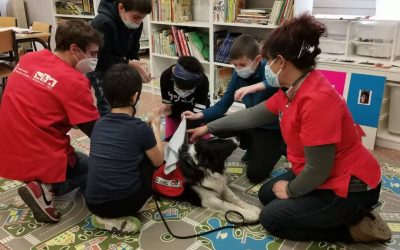 La Oficina de Intervención Asistida con Animales de la URJC colabora con el CEIP Alonso Cano a través de sesiones enfocadas a alumnos diagnosticados con TEA (Trastorno del espectro autista)