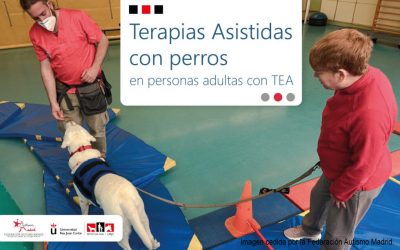 La Oficina de Intervención Asistida con Animales (OIAA) y la Federación Autismo Madrid trabajan en una investigación sobre las personas adultas con Trastorno del Espectro del Autismo (TEA)