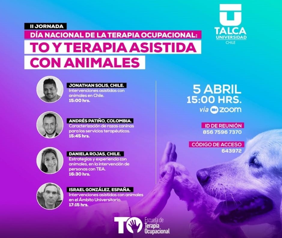 Cartel de la II Jornada del Dia Nacional de la Terapia Ocupacional