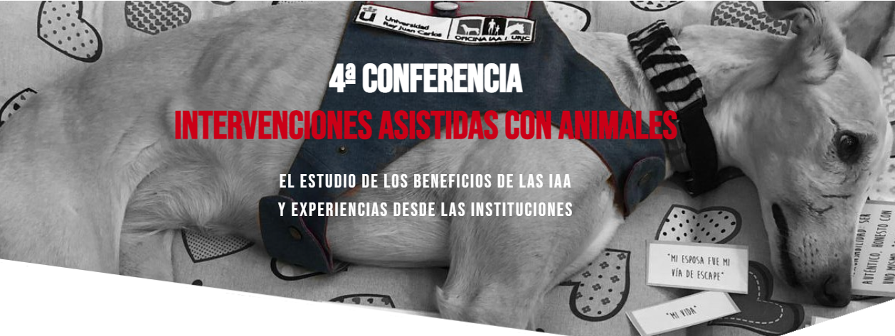 4ª Conferencia