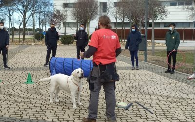 Jornada de Actividades Asistidas con Animales con alumnos del grado de Ciencias del Deporte de la URJC