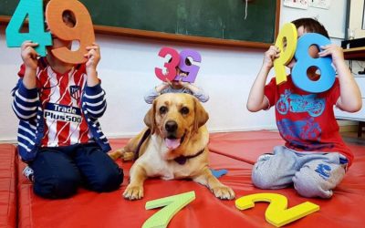 La OIAA apuesta de nuevo por los animales como recurso educativo