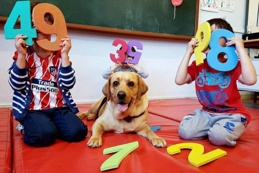 La OIAA apuesta de nuevo por los animales como recurso educativo