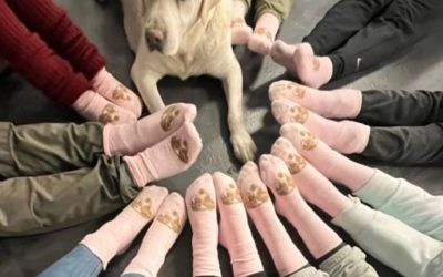 Educación Asistida con Perros con menores víctimas de violencia PROGRAMA TRAS MIENFADO