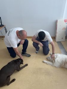 Dogmind, un programa híbrido entre intervenciones asistidas con animales y técnicas de atención plena para el estudiantado de la URJC.