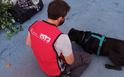 LA URJC EXTIENDE SU COMPROMISO EN PEDIATRÍA SOCIAL CON ALCORCÓN