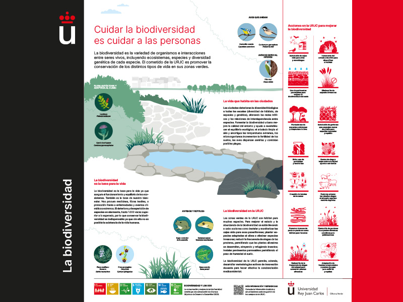 Biodiversidad en las infraestructuras verdes urbanas 