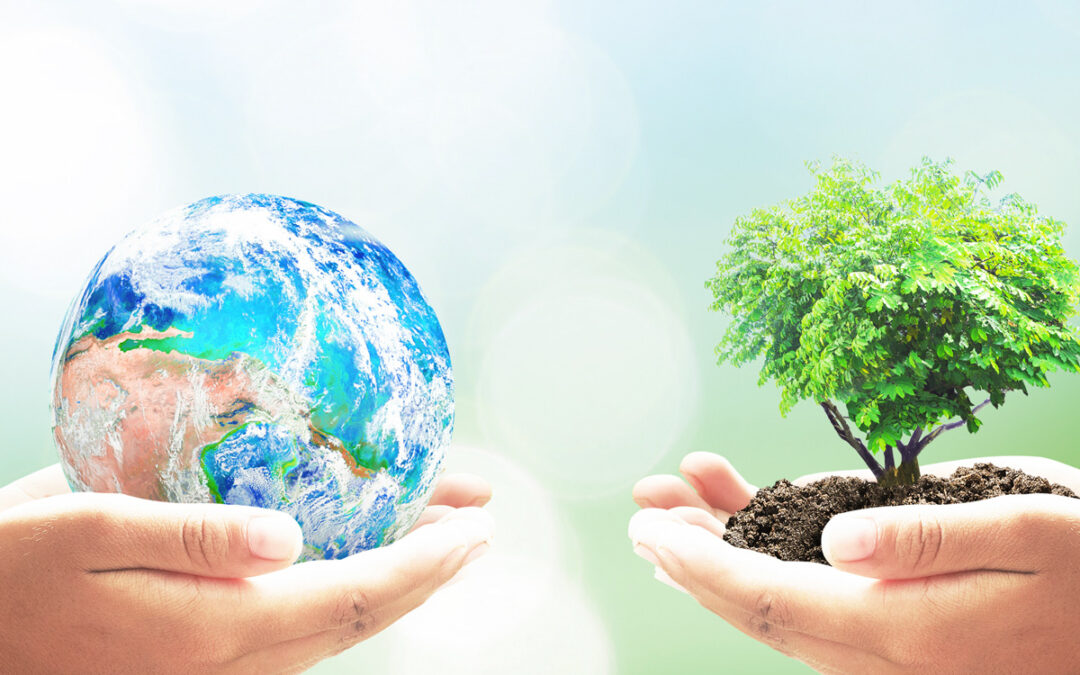 Iniciación a la educación ambiental en voluntariado