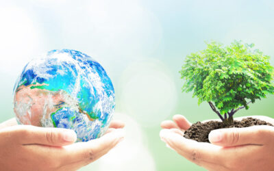 Iniciación a la educación ambiental en voluntariado