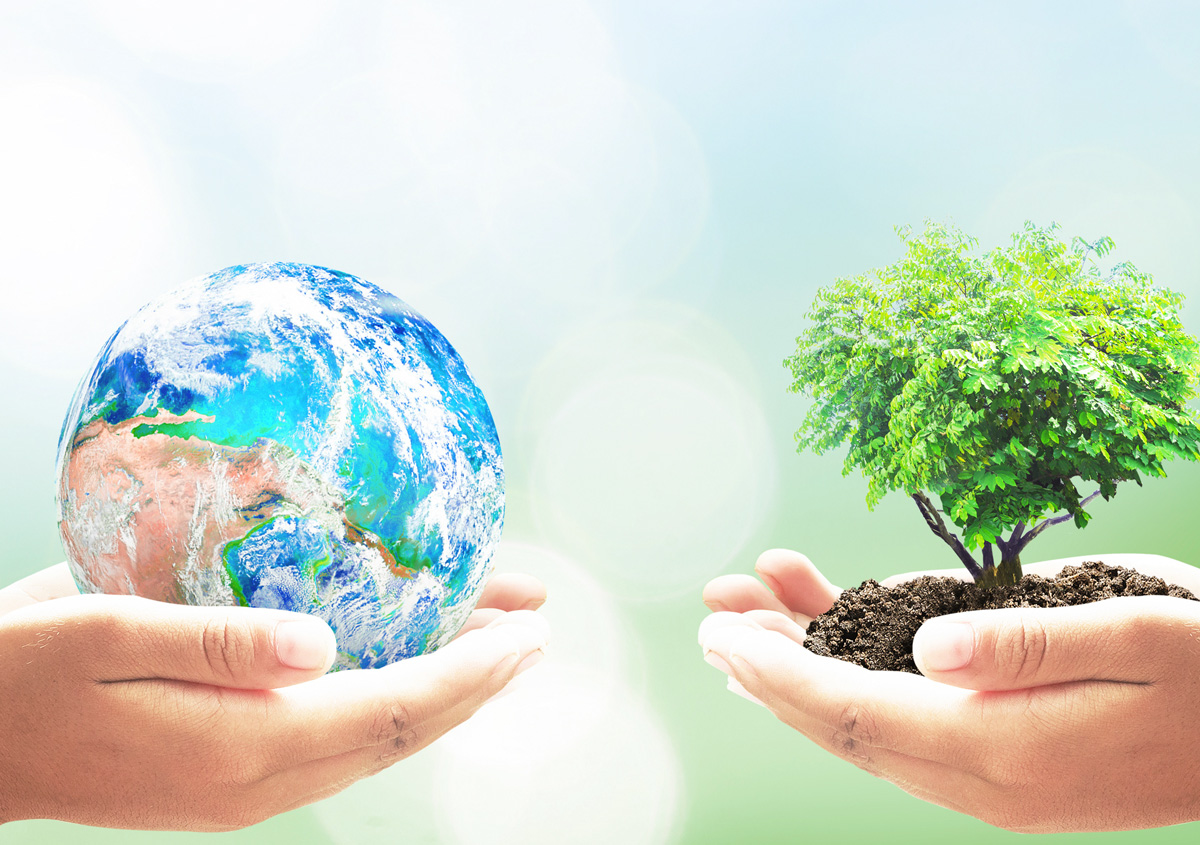 Iniciación a la educación ambiental en voluntariado
