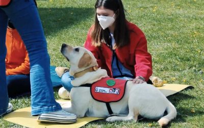 INTERVENCIONES ASISTIDAS CON PERROS PARA REDUCIR EL ESTRÉS