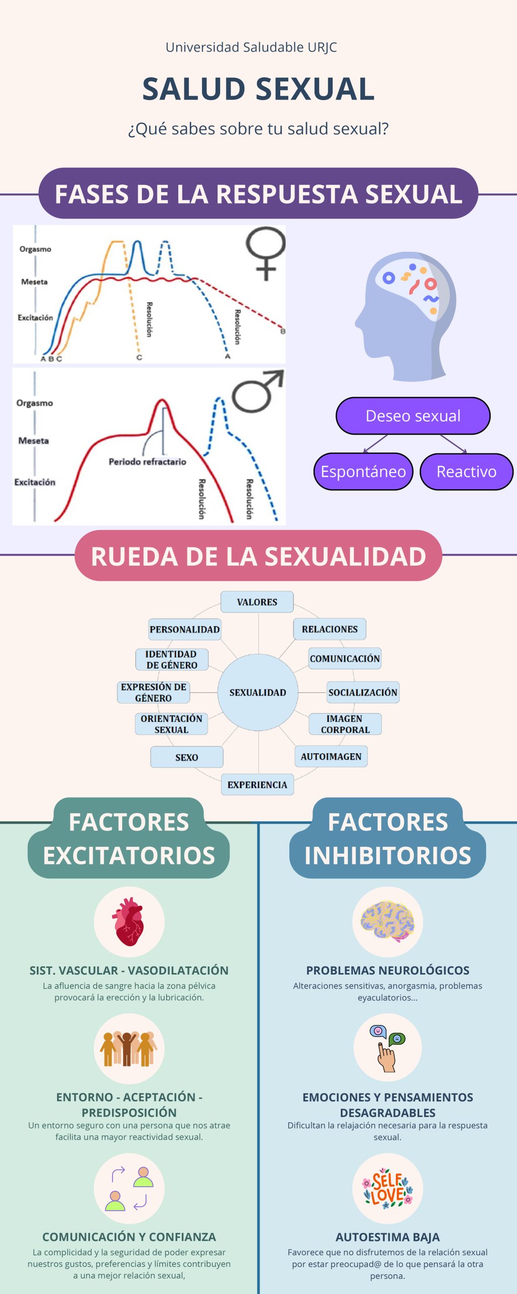 Salud sexual: Fases de la respuesta sexual