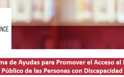 II edición del programa de ayudas para promover el acceso al empleo público de las personas con discapacidad