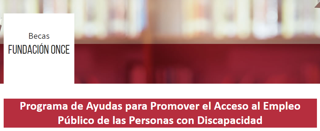 II edición del programa de ayudas para promover el acceso al empleo público de las personas con discapacidad